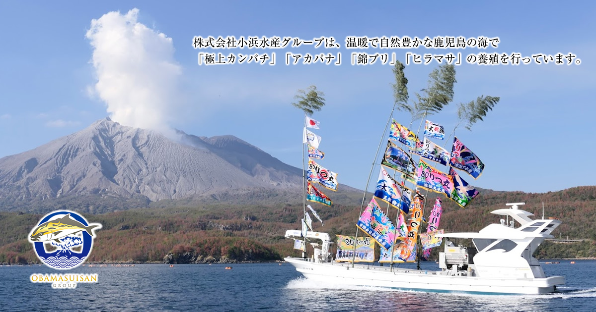 株式会社小浜水産グループ | 極上カンパチ・アカバナ・錦ブリ
